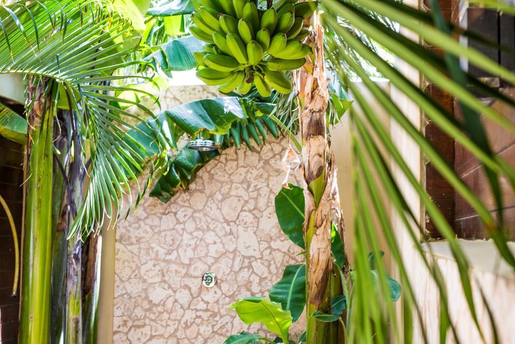 Bamboo Bonaire By Boutique Bonaire Unique Resorts Kralendijk Exteriör bild