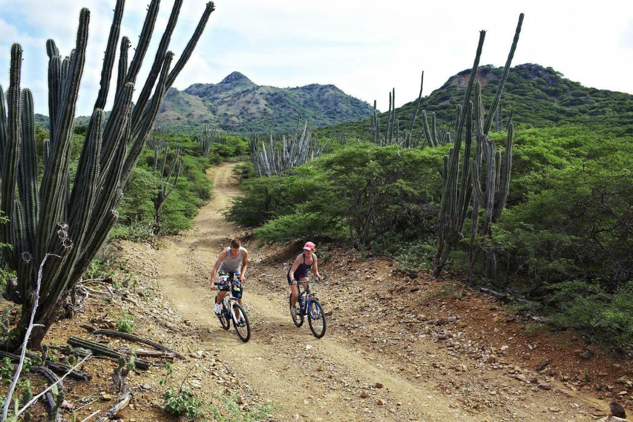 Bamboo Bonaire By Boutique Bonaire Unique Resorts Kralendijk Exteriör bild